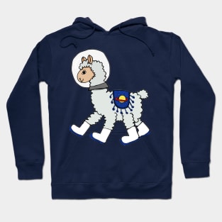 Space Llama Hoodie